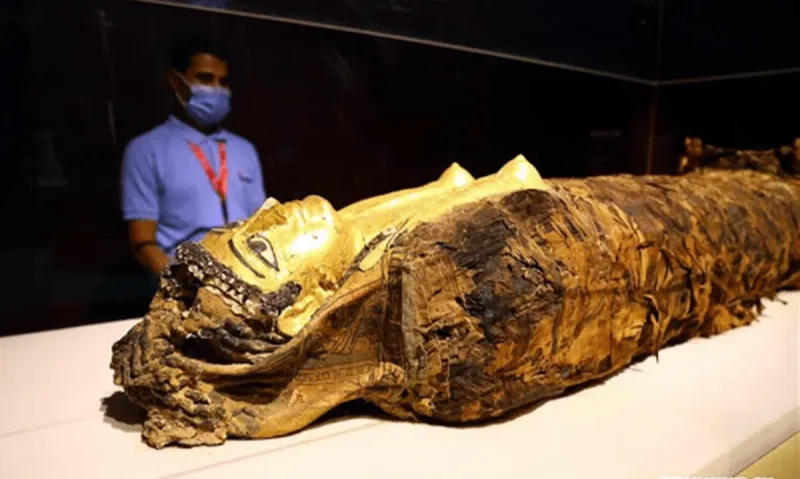 Hurghada City Tour & National Museum with Pickup + Drop-Off - Photo 4