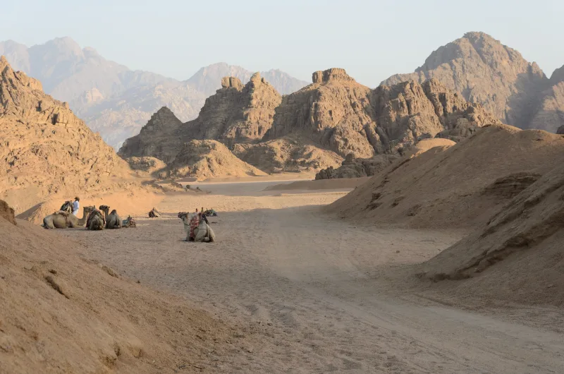 Hurghada: ATV Quad, Parasailing, Jetboat & Watersports - Photo 11