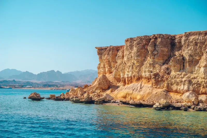 Sharm: Snorkeling from the Shore, Mangroove Trees & Salt Lake - Photo 3