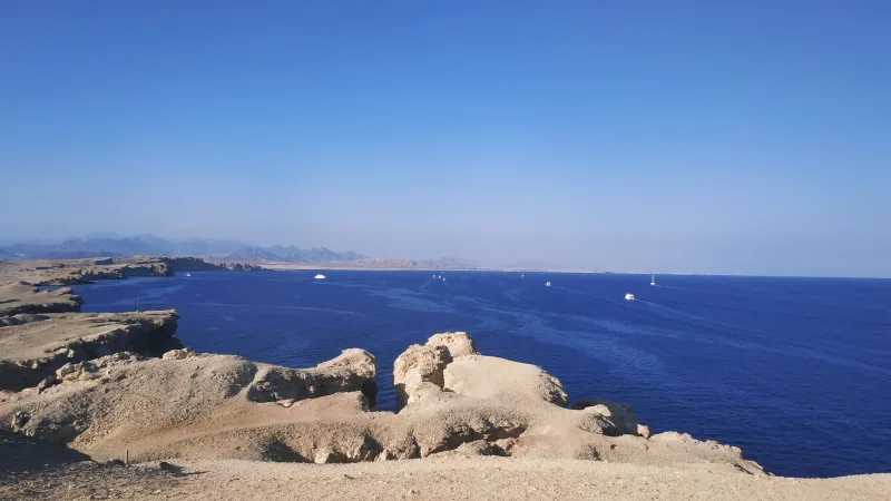 Sharm: Snorkeling from the Shore, Mangroove Trees & Salt Lake - Photo 36