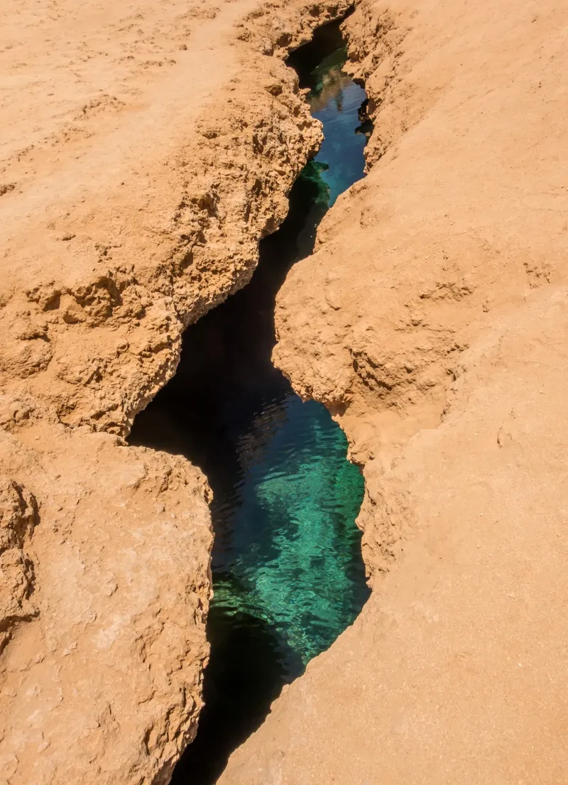 Sharm: Snorkeling from the Shore, Mangroove Trees & Salt Lake - Photo 5