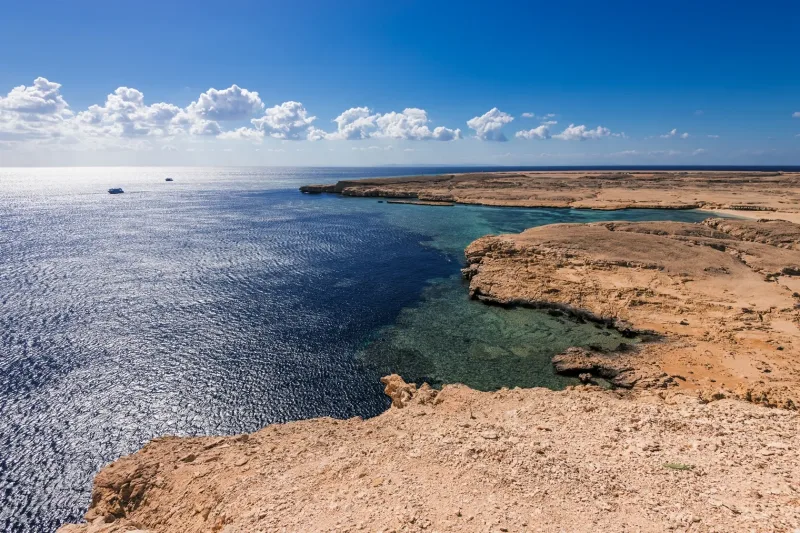 Sharm: Snorkeling from the Shore, Mangroove Trees & Salt Lake - Photo 40