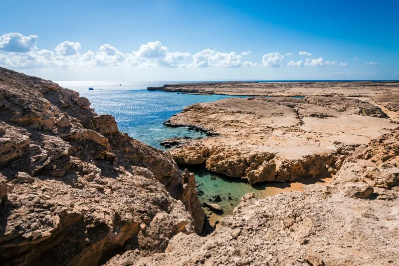 Sharm: Snorkeling from the Shore, Mangroove Trees & Salt Lake - Photo 22
