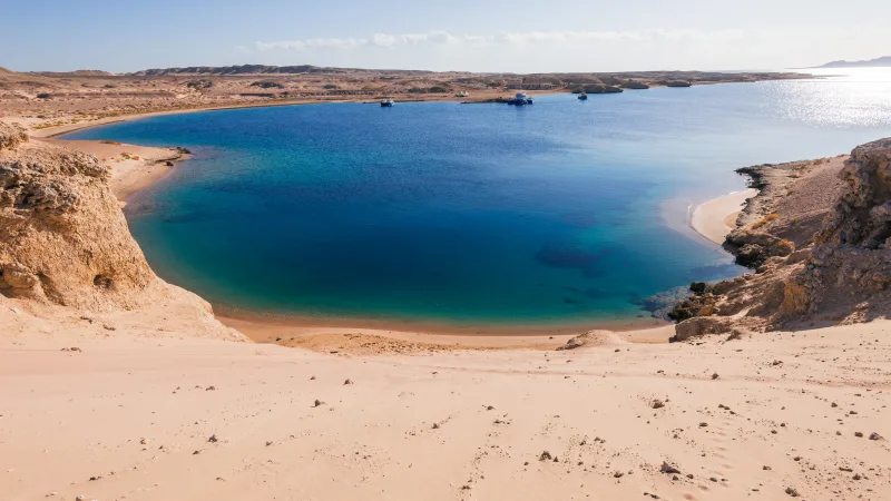 Sharm: Snorkeling from the Shore, Mangroove Trees & Salt Lake - Photo 26