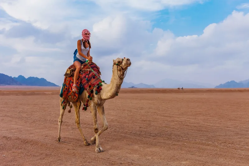 Hurghada: Stargazing by ATV, Camel, Horse, Dinner & Show - Photo 9