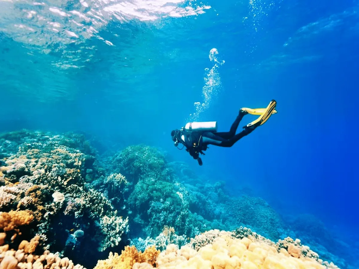 Hurghada: Orange Island with Lunch, Scuba Diving, and Parasailing