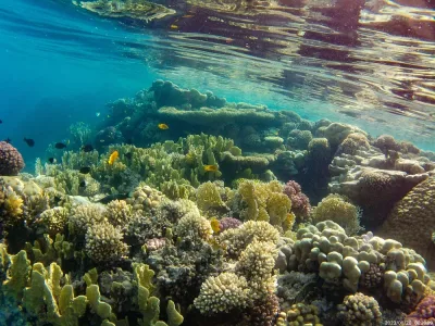 Safaga: Hula Hula Island-yachttur med frokost &amp; vandsport