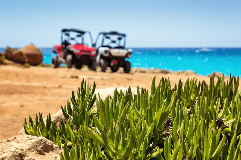Hurghada: Sea and Mountains ATV Quad Bike Tour - Photo 5