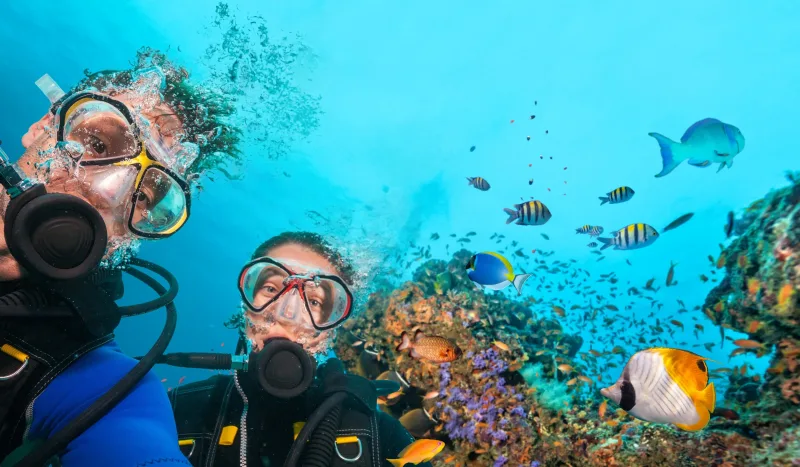 Sharm El Sheikh: Diving & Snorkeling at Ras Mohammed and White Island - Photo 5