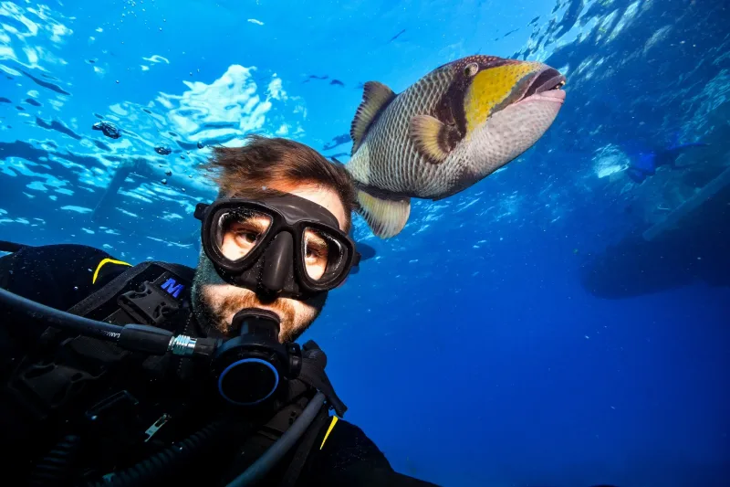 Sharm El Sheikh: Diving & Snorkeling at Ras Mohammed and White Island - Photo 21
