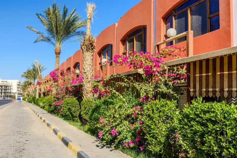 From El Gouna: Hurghada City Tour & The National Museum - Photo 19