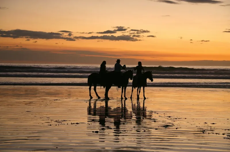 Hurghada: Horse Ride Along the Sea & Desert with Transfers - Photo 3