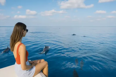 Makadi Bay: Dolphin Watching Boat Tour with Lunch &amp; Drinks