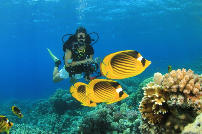 Hurghada: Orange Island Diving & Snorkeling Trip with Lunch - Photo 19
