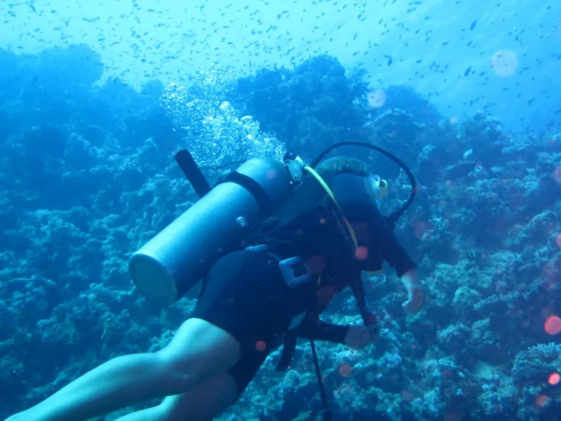 Hurghada: Orange Island Diving & Snorkeling Trip with Lunch - Photo 23