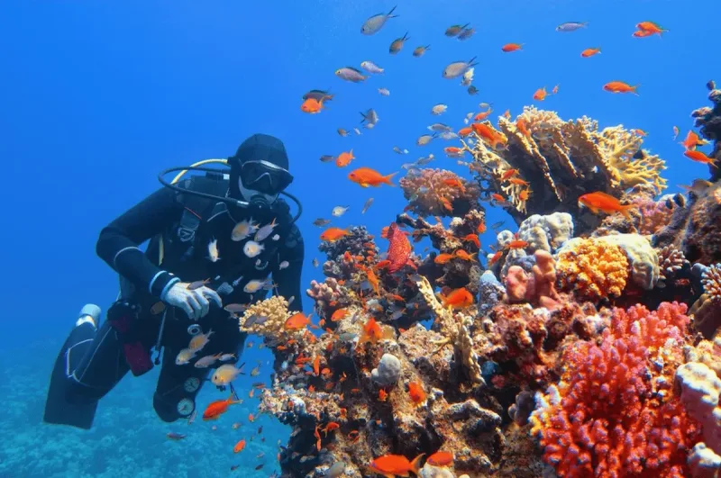 Hurghada: Orange Island Boat Trip with Snorkel & Parasailing - Photo 17