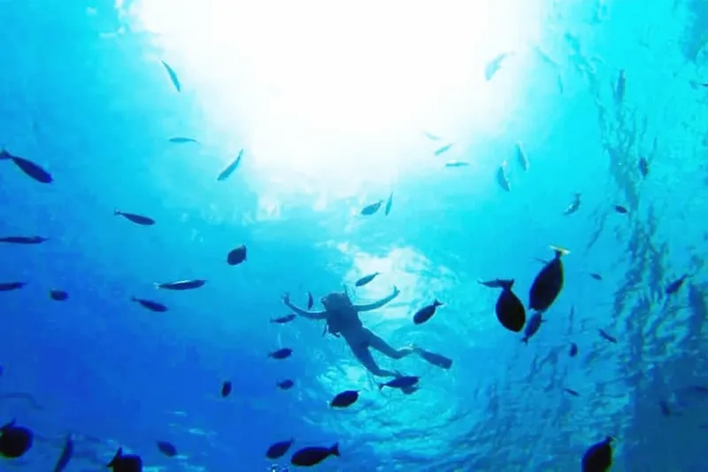 Hurghada: Orange Island Boat Trip with Snorkel & Parasailing - Photo 25
