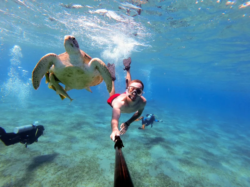 El Gouna: Boat Tour to Magawish Island with Buffet Lunch - Photo 5