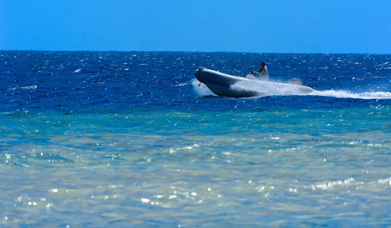 Sharm El Sheikh: Prywatna wycieczka łodzią motorową na wyspę Tiran – zdjęcie 16